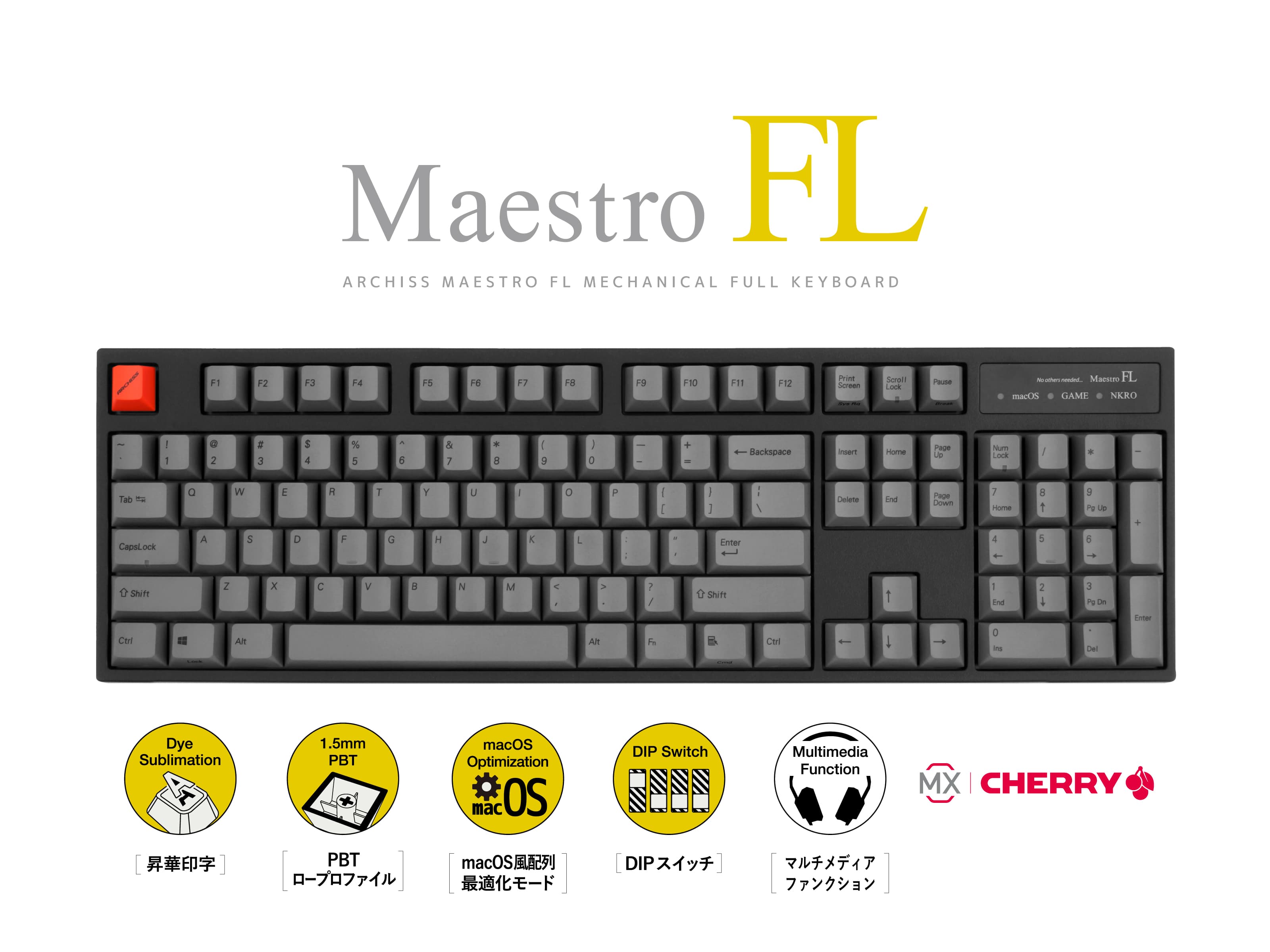 Maestro FL（英語配列）- ARCHISS - 株式会社アーキサイト