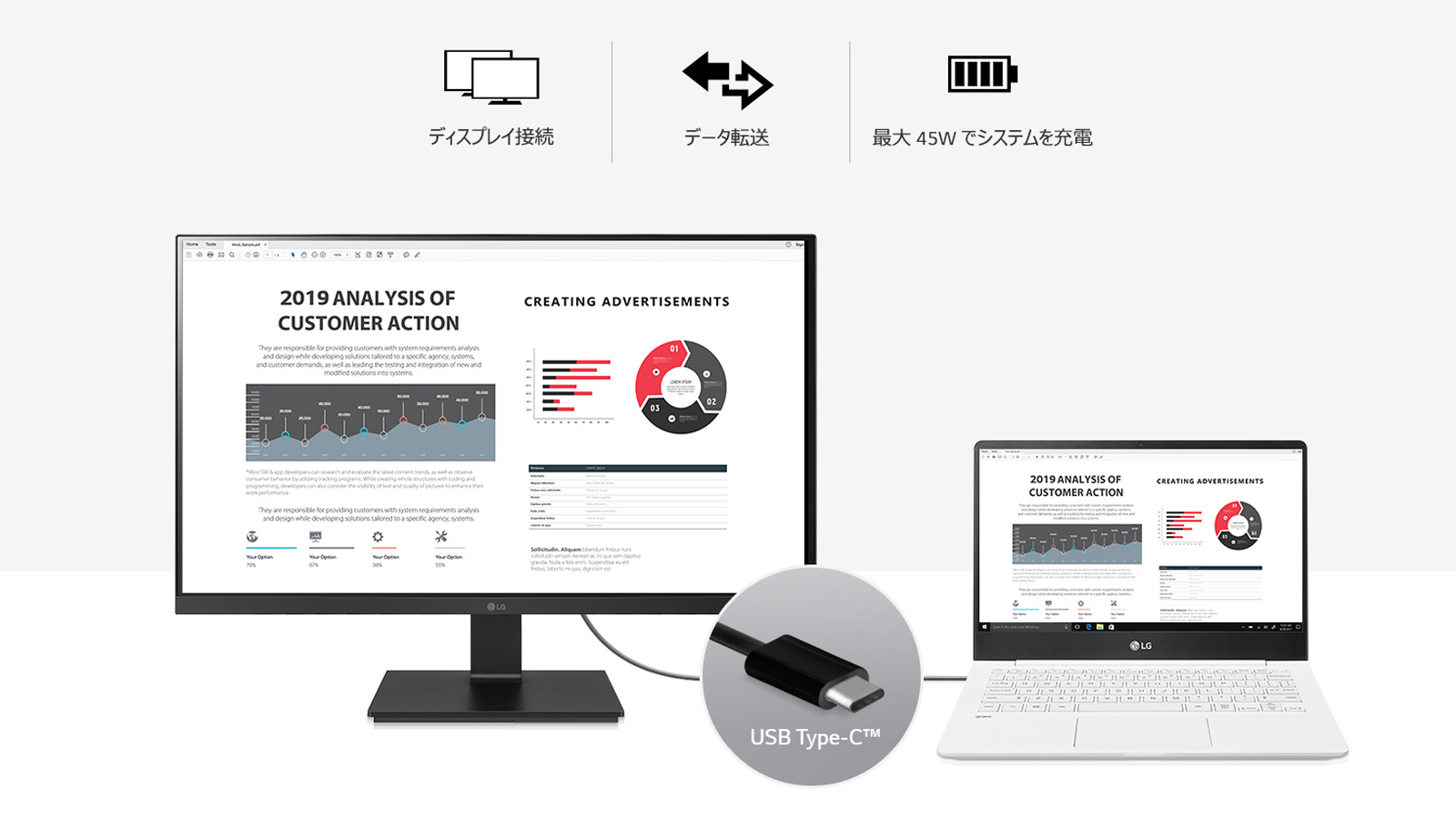 24BL650C 23.8インチ/IPS/USB Type-C接続 - ディスプレイ