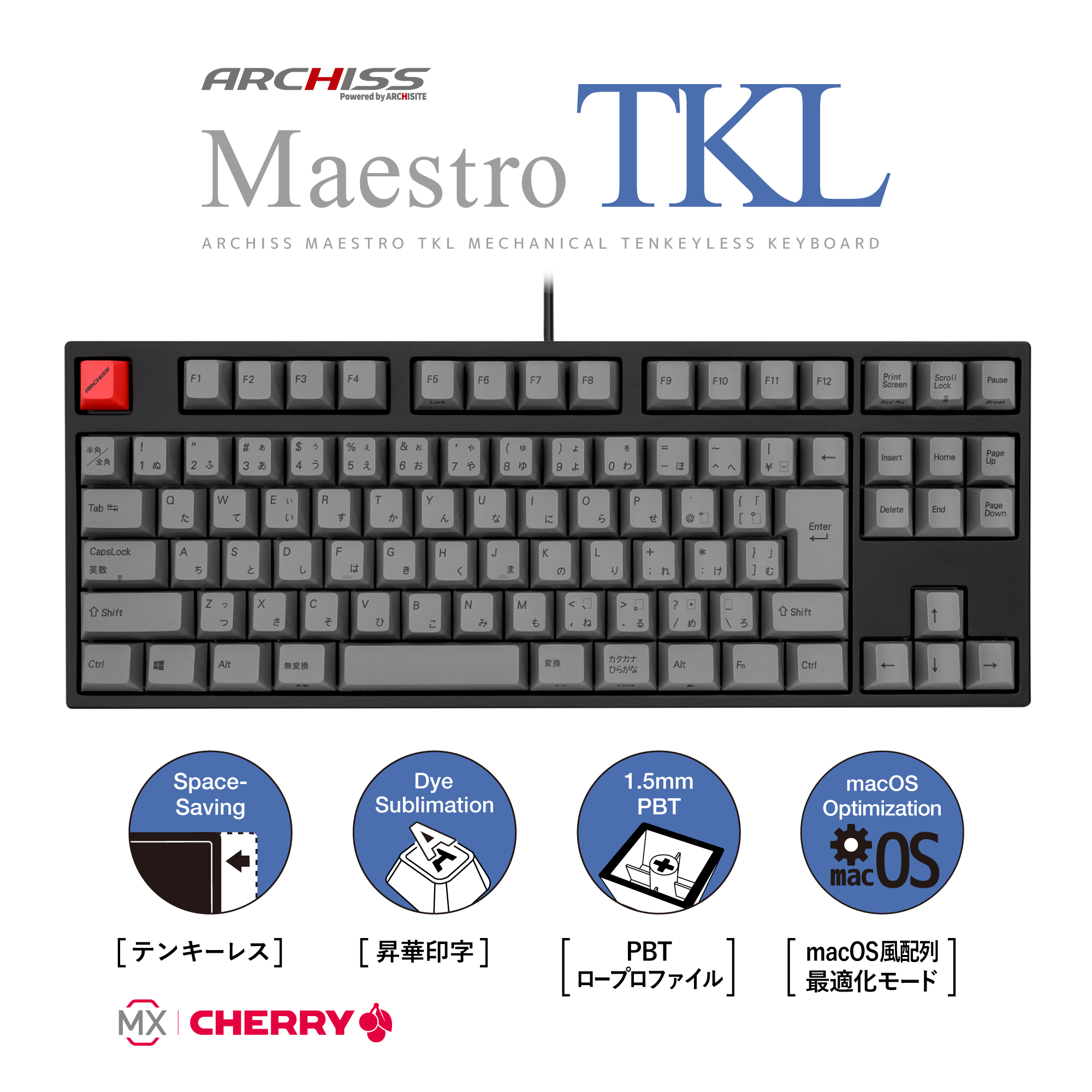 Archiss Maestro TKL 青軸　日本語配列