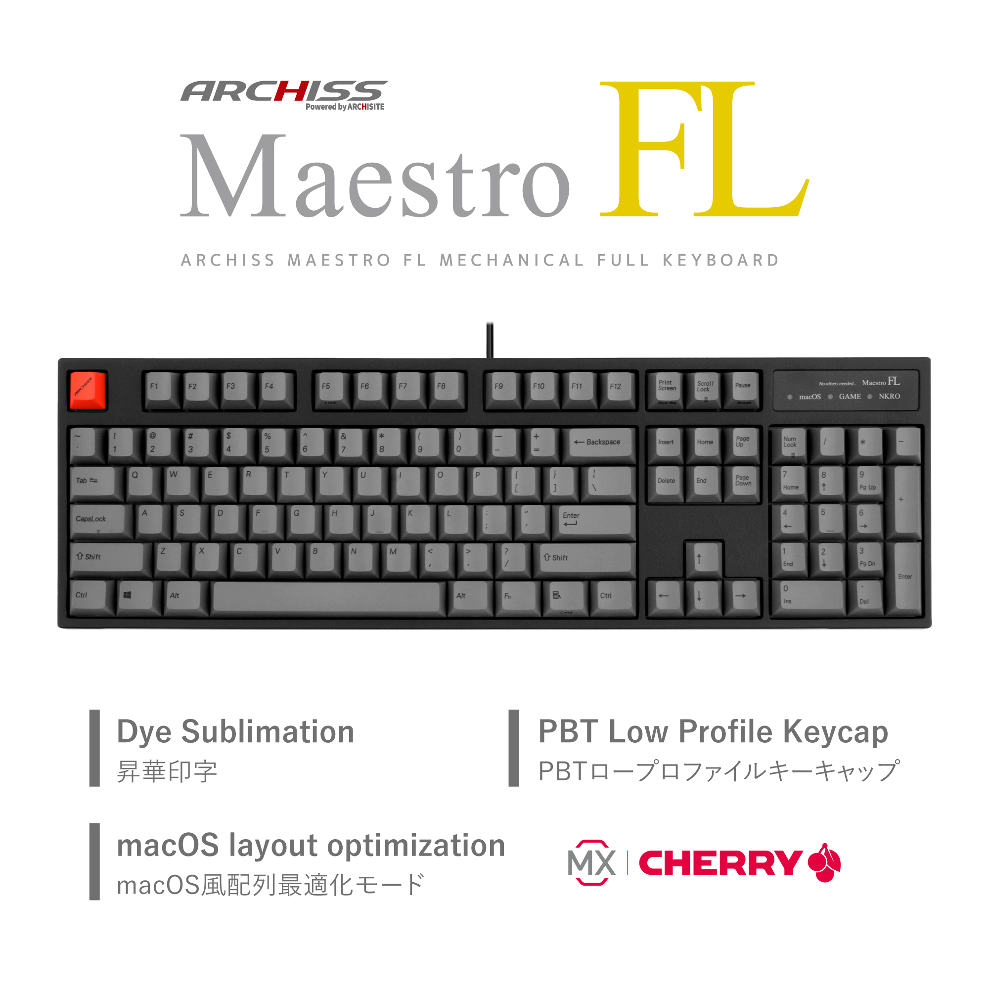 Maestro FL（英語配列）- ARCHISS - 株式会社アーキサイト