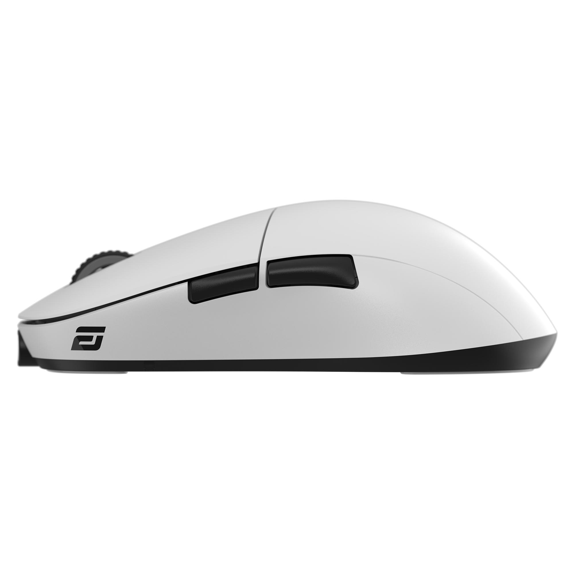 日本未発売 Endgame Gear OP1we White - PC周辺機器