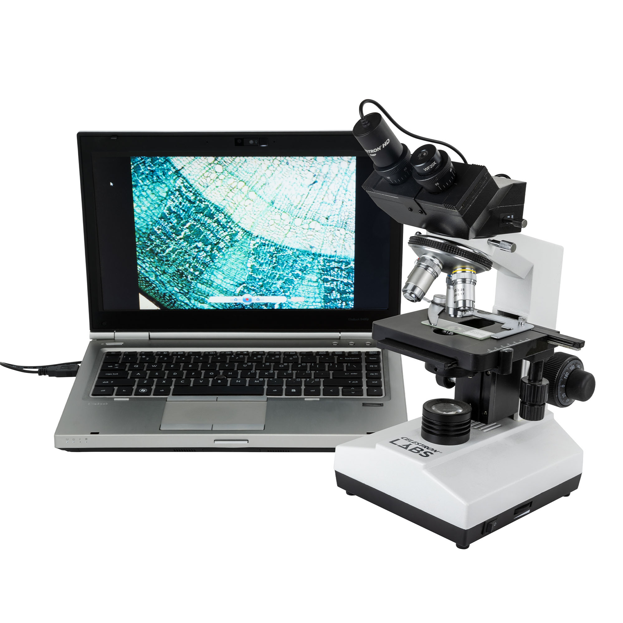 デジタル顕微鏡カメラ 5MP - CELESTRON - 株式会社アーキサイト