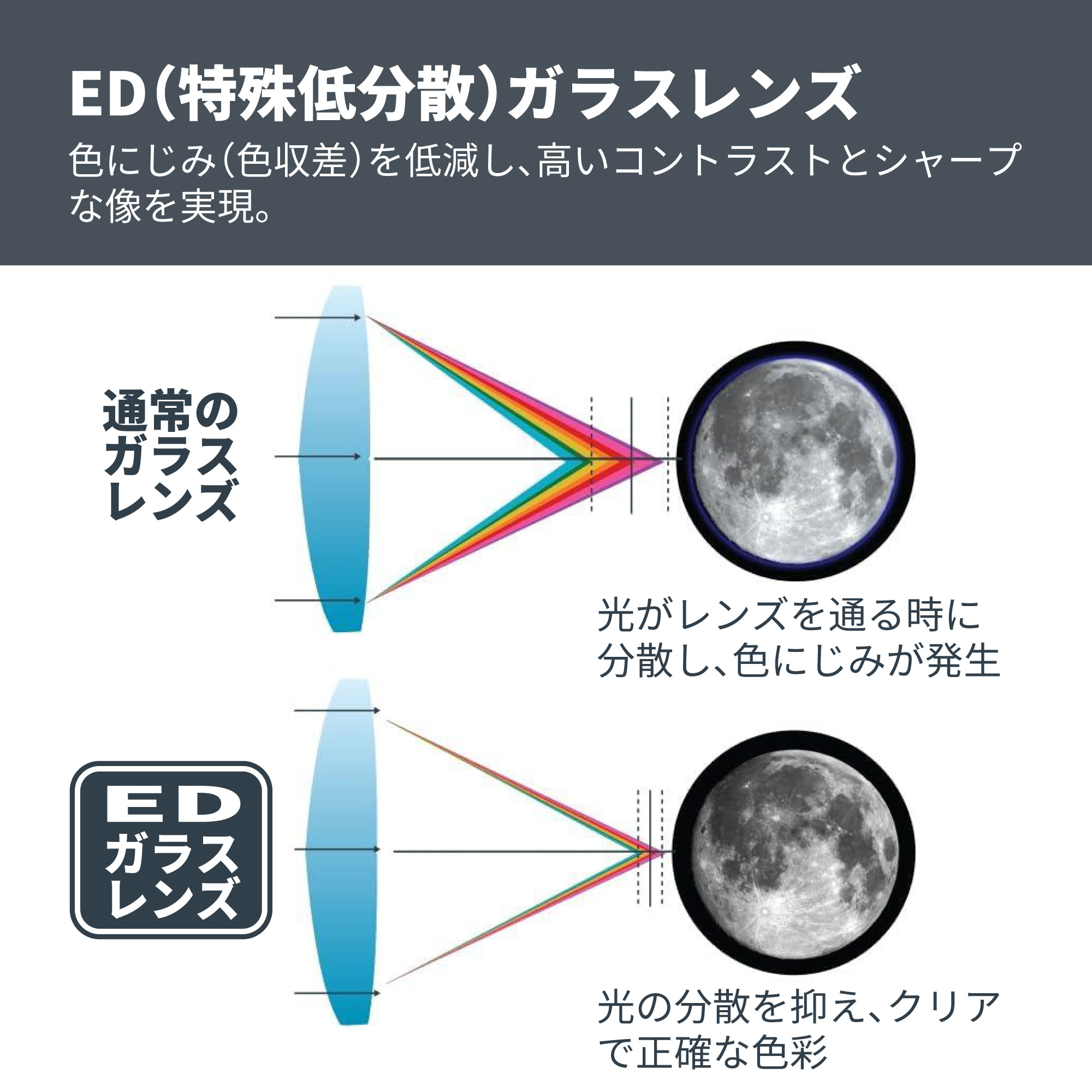 SkyMaster Pro ED 20x80 ポロプリズム双眼鏡 - CELESTRON - 株式会社