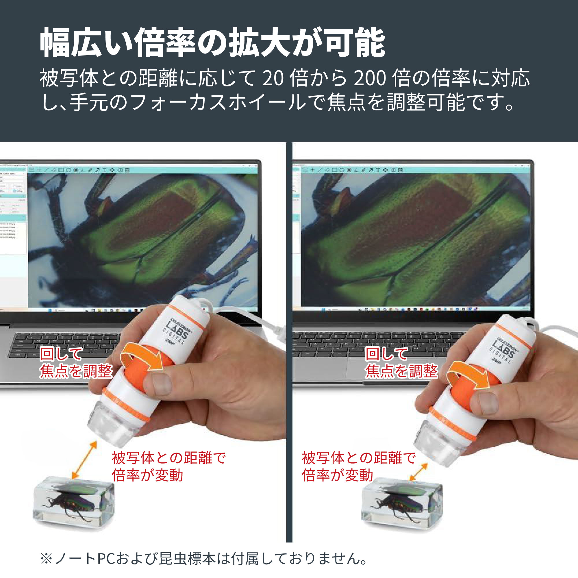 デジタル顕微鏡ハンディ DX 2MP - CELESTRON - 株式会社アーキサイト